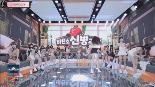 kbj26091164_PandaClass-re92.com.jpg